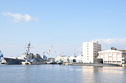 ꡼ No.005 |  ܲüܤءWoWSߥץܥ٥ȡֻڤβܲ컶ץץ꡼ݡ