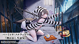 ꡼ No.015Υͥ / ֥졼פο٥ȡ̳פ227˥ȡ֥ѥաס֥ӥĥ䡦פʤɿξ󤬰