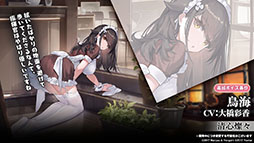 ꡼ No.026Υͥ / ֥פURϥåҡե󡦥եåƥ1229˳뤹ŴرĤΥ٥Ȥ俷夻ؤȯɽ줿ݡ