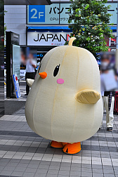 ꡼ No.012Υͥ / ȥ륤1/1ŸƤ֥ 6th Anniversary Fes.ײݡȡ4ǯΤפˡش夬