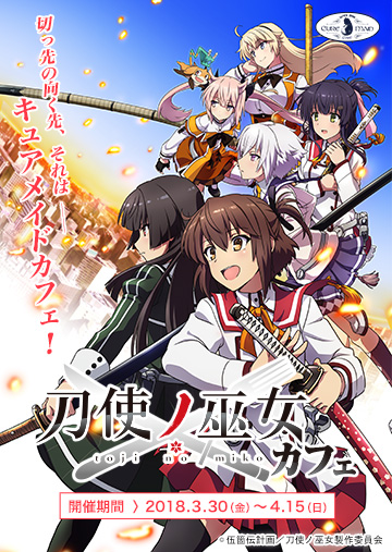 ꡼ No.002Υͥ / ȥס330꽩ոΡȥ奢ᥤɥեɤˤƥܥե򳫺