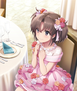 ꡼ No.006Υͥ / ȥ ߤСס3ǯǰڡ󤬳š٥ȸСֺּ֡פо