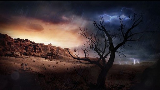 ���������꡼ No.002�Υ���ͥ������ / �ֹ���������Х���פ˿������ϰ�ȥХ�󥷥������ɤ�����