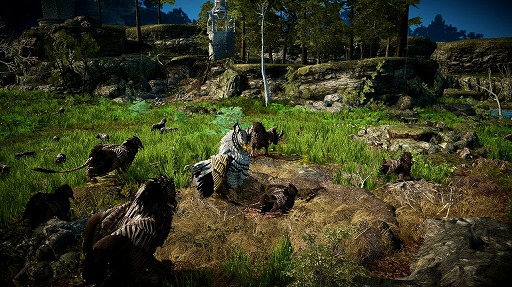 画像ギャラリー No.001のサムネイル画像 / 「黒い砂漠モバイル」に“ナバン草原”などの新要素が登場するアップデートが実装