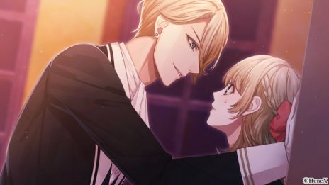 ���������꡼ No.009�Υ���ͥ������ / �ե�ܥ��������줿PS Vita�֥��ե����� -FANTASY ON DARK-�פ�2018ǯ���ȯ����ꡣ����Ӥν��λҤ���͸��ν�����������ADV