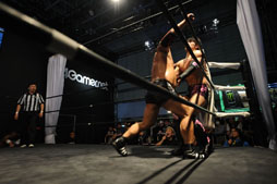 ꡼ No.029 | TGS 20174Gamer֡Υ󥰤ǼԤޤȤϡܳʥХȥASURA presents DDTڥޥåץݡ