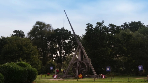 ꡼ No.002Υͥ / Age of Empires IVסʼΥȥӥ奷åȡʿտеˤȥƥӤζɤ˥ե㡼ǿࡼӡ