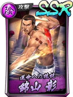 ���������꡼ No.009�Υ���ͥ������ / ��ζ��ǡ�� ONLINE�פΡ֥ɥ饴��ե���������פ˶������Ϥȶӻ� ���ο�SSR���о�