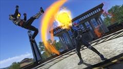 ꡼ No.016 | ֲ̥饤 饤ޥåեס//ƥ/֥쥤/֥/ǥ//ҲWebȤ