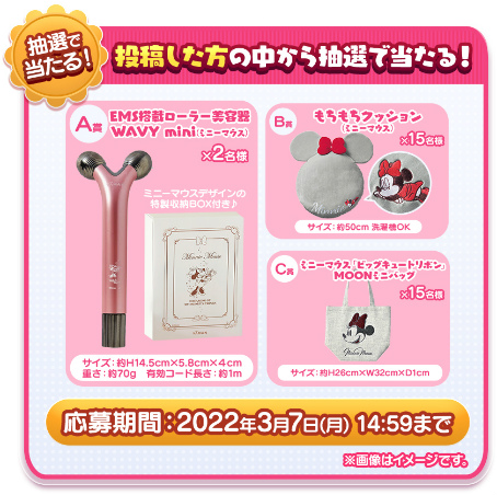 ꡼ No.006Υͥ / ֥ǥˡ ĥĥɡסSĥߥˡå륭ڡȤǳ