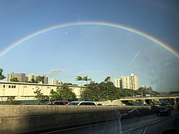 ꡼ No.001 | ޥեĤ󼡸褤384֥ԥܥåǥ٥졼󤹤른奨꡼ǥ