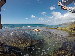 ꡼ No.002 | ޥեĤ󼡸褤384֥ԥܥåǥ٥졼󤹤른奨꡼ǥ