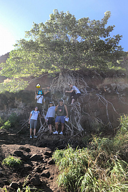 ꡼ No.004 | ޥեĤ󼡸褤384֥ԥܥåǥ٥졼󤹤른奨꡼ǥ