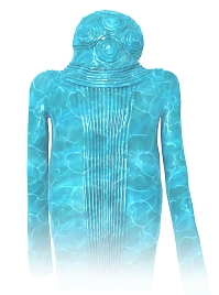 ���������꡼ No.003�Υ���ͥ������ / ��D2�ᥬ�ƥ�ס������٥�Ȥȥ�������ܡ��ʥ������š�6��20�����ɲä���뿷��²������פ������