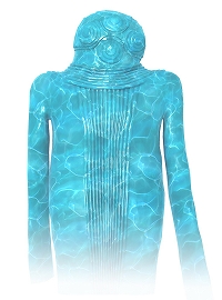 ꡼ No.001 | D2ᥬƥס²פоޥͥȤTwitterڡ󤬳