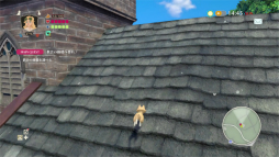 ꡼ No.029 | The Good Lifeץץ쥤ݡȡ칬ʡĮɤ˱줿̩ɤʪȡļ褽ΤΤʤ륹饤Ǥڤ