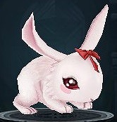 ꡼ No.001 | ֥ƥꥢס˥쥢饤ɡ֥⥹פо