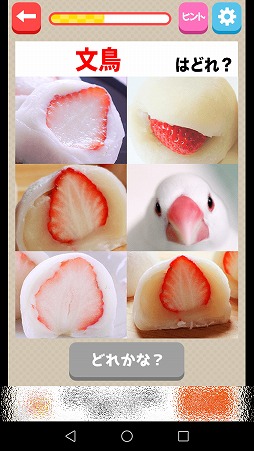 ���������꡼ No.002�Υ���ͥ������ / ʣ���β����������ʪ�ɤ򸫤Ĥ��Ф��������������㊙��ʪ�ɡ�������פ�Ҳ𤹤�֡ʤۤܡ��������ޥۥ������̿�����1519��