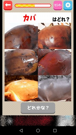 ���������꡼ No.005�Υ���ͥ������ / ʣ���β����������ʪ�ɤ򸫤Ĥ��Ф��������������㊙��ʪ�ɡ�������פ�Ҳ𤹤�֡ʤۤܡ��������ޥۥ������̿�����1519��