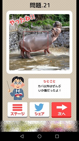 ���������꡼ No.006�Υ���ͥ������ / ʣ���β����������ʪ�ɤ򸫤Ĥ��Ф��������������㊙��ʪ�ɡ�������פ�Ҳ𤹤�֡ʤۤܡ��������ޥۥ������̿�����1519��