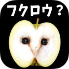 �ѥå�����