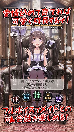 週刊マイメイド