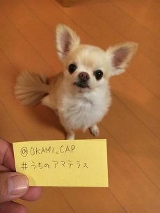 ꡼ No.025 |  ǡ6Ϣ³ࡼӡκǽǤϡɮ١­סֿסֿסŲ֥ޥΥפҲ