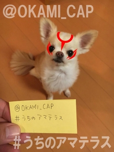 ꡼ No.026 |  ǡ6Ϣ³ࡼӡκǽǤϡɮ١­סֿסֿסŲ֥ޥΥפҲ