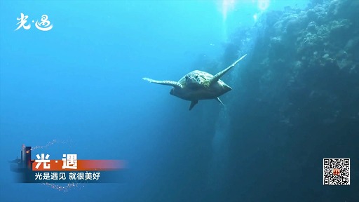 ꡼ No.013 | NetEase Connect 2022פۿݡȡSky ¤Ҥɤ⤿ɤȥǥ֥ ⡼ɤκǿ⤪Ϥ