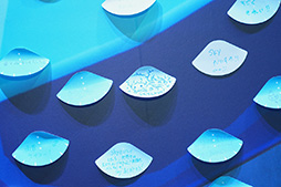 ꡼ No.021 | Sky ¤Ҥɤ⤿֥ݡȡ ͵󤬺ʤؤ̥ۤϤäƱ󥿥ӥ塼ͤ⤪Ϥ