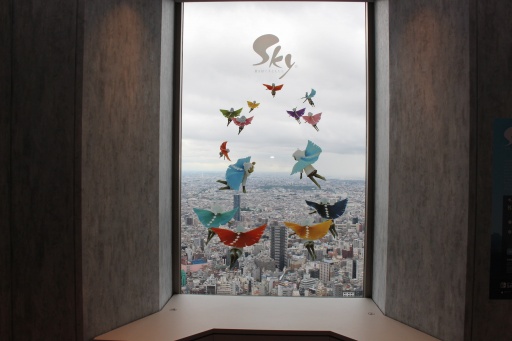 ꡼ No.008 | 6ǯޤSky ¤Ҥɤ⤿פ¸ֱǲססǱǲǤߤˤĤơΥ᤬аޤä