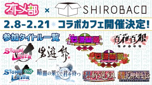 ꡼ No.001Υͥ / D3PȥSHIROBACOܥե28鳫