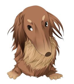 ꡼ No.010 | VitaminX DestinationפΥץܥ2Ƥ俷ʤɤ