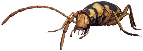 ꡼ No.016 | EARTH DEFENSE FORCE: IRON RAINפϿά10ǯ档ʪΤۤ­βʪܥåʼо