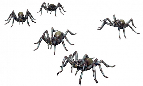 ꡼ No.005 | EARTH DEFENSE FORCE: IRON RAINפοȤ⤦1ĤEDFɤȤƤ٤ȿ¸ߤ餫