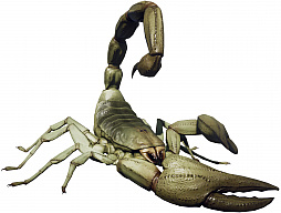 ꡼ No.003 | EARTH DEFENSE FORCE: IRON RAINפο󤬸Ķʪ֥٥סʪ֥ǥȡפо줬餫