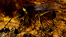 ꡼ No.035 | EARTH DEFENSE FORCE: IRON RAIN׺ǿŨΡĶʪΡɤ䡤٥ꥪλߤǹԤƤ븦Ƥ