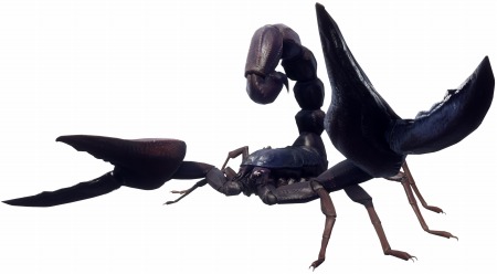 ꡼ No.003 | EARTH DEFENSE FORCE: IRON RAINפɲåߥåѥå֥ǥ󥹥ȡפ66ۿ30ʾοѡĤɲ