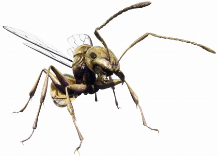 ꡼ No.005 | EARTH DEFENSE FORCE: IRON RAINפɲåߥåѥå֥ǥ󥹥ȡפ66ۿ30ʾοѡĤɲ