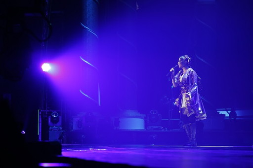 画像ギャラリー No.039のサムネイル画像 / 「アイドルマスター」765プロ久々の単独公演「初星宴舞」をレポート。特別版の歌マスや久々の“あの曲”で幕張が燃えた