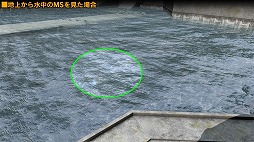 ꡼ No.006 | ֥ Хȥ륪ڥ졼2סΥƥब