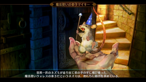 ꡼ No.009 | ͷӤ䤹ʤä֥ɥ饴󥺥饦󡦥ץץץ쥤ݡȡեḁ̊Ϥ4K٤βԥȤǾҲ