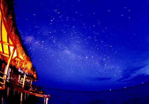 ꡼ No.003 | ֥Хȥ֥ס5ҡΥܥͥǥץȤ򳫺