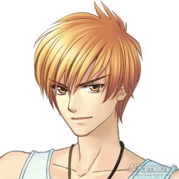 ꡼ No.004 | ֲå4Gamer154󡧥꡼θPS Vita˥ᥤʤ Ultimateפý