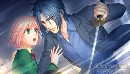 ꡼ No.011 | ֲå4Gamer154󡧥꡼θPS Vita˥ᥤʤ Ultimateפý