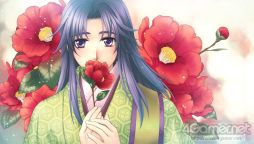 ꡼ No.029 | ֲå4Gamer154󡧥꡼θPS Vita˥ᥤʤ Ultimateפý