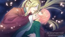 ꡼ No.031 | ֲå4Gamer154󡧥꡼θPS Vita˥ᥤʤ Ultimateפý