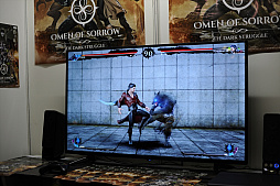 ꡼ No.008Υͥ / TGS 2017ϥۥ顼ƥȤοʥ֥󡦥֡ȥ饰ץץ쥤ݡ