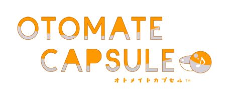 ���������꡼ No.007�Υ���ͥ������ / ���ȥᥤ�Ȥ�������ǽ�Ǥ���ʣ�羦�ȥӥ�֥��ȥᥤ�ȥӥ�����3�ե�����2��9���˥����ץ󡣡�Code��Realize�פδ̥Хå������������»�