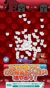 画像ギャラリー No.004のサムネイル画像 / スマホ向けアプリ「ねこ細菌」，iOS/Android版が配信に